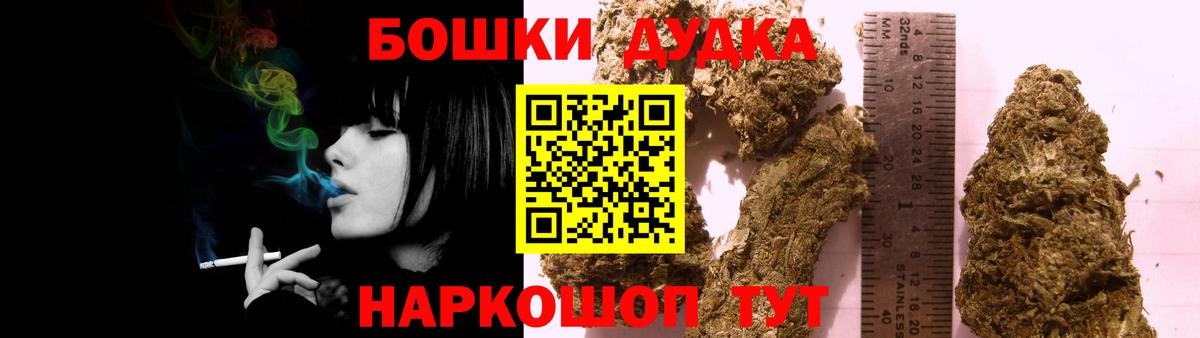 Конопля план Сертолово